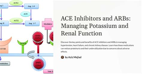 taking arbs requires blood tests how often for renal impact|ACE Inhibitors and ARBs .